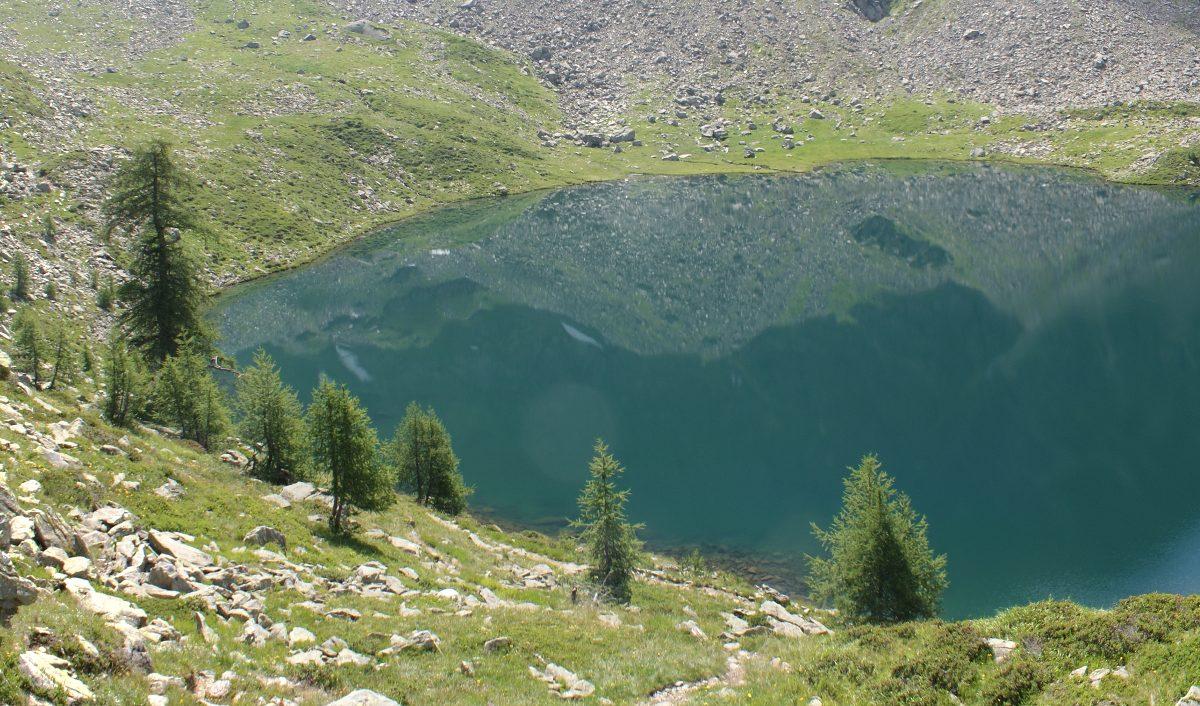 What is the color of Alpine Lake Green ?