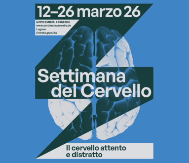 Il cervello distratto 