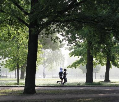 Camminata Metabolica aperta a tutti 