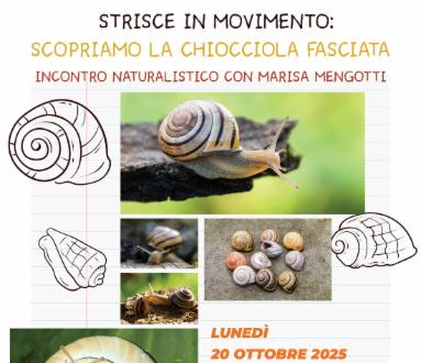 Strisce in movimento: scopriamo la chiocciola fasciata. Incontro naturalistico