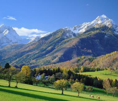 San Lucio: storie di santi, contrabbandi e alpeggi