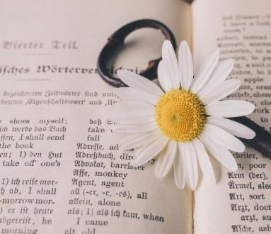 Un caffè in inglese