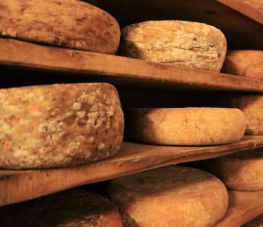 12esima edizione giornata agricola leventinese e rassegna dei formaggi