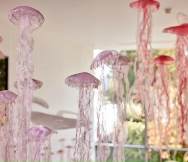 Tra note e trasparenza 