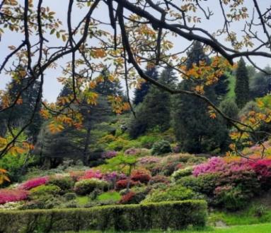 Curiamo insieme le piante del progetto “Mio Albero”