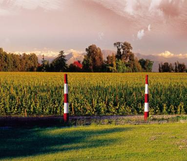 Open Tasting: Chadwick