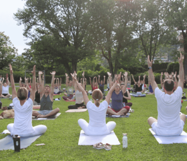 International Yoga Day 