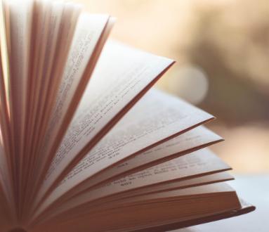 Sebastiano Vassalli dieci anni dopo