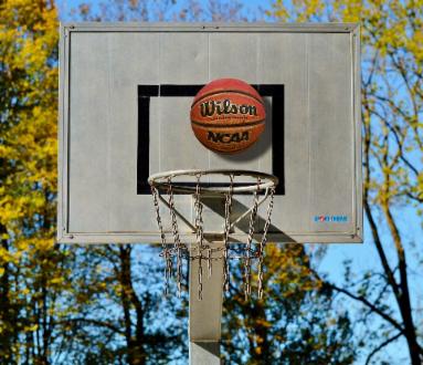 Lugano Tigers - Starwings Basket