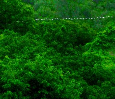 Artist Talk | Sojung Jun. K-NOW! Korean Video Art Today