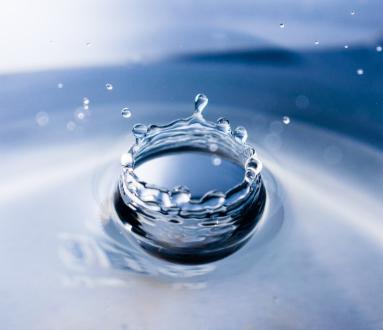 Porte aperte di yoga flow e movimento consapevole