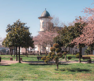 Assemblea di Quartiere: Loreto